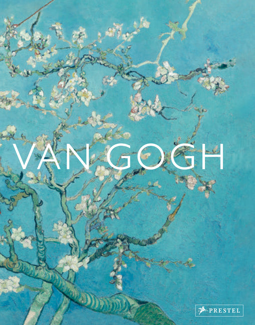 Book cover for Van Gogh: The Bigger Picture