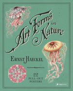 Book cover for Art Forms in Nature: 22 Pull-Out Posters