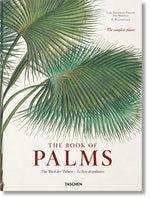 Book cover for Martius. the Book of Palms
