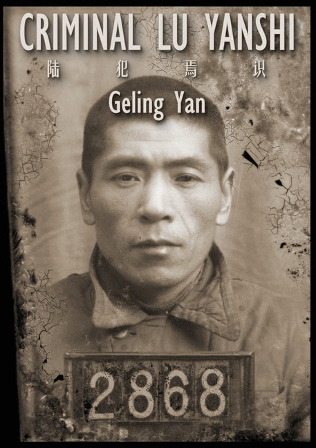 Book cover for Criminal Lu Yanshi