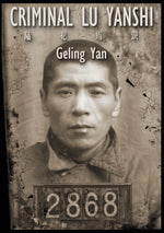 Book cover for Criminal Lu Yanshi