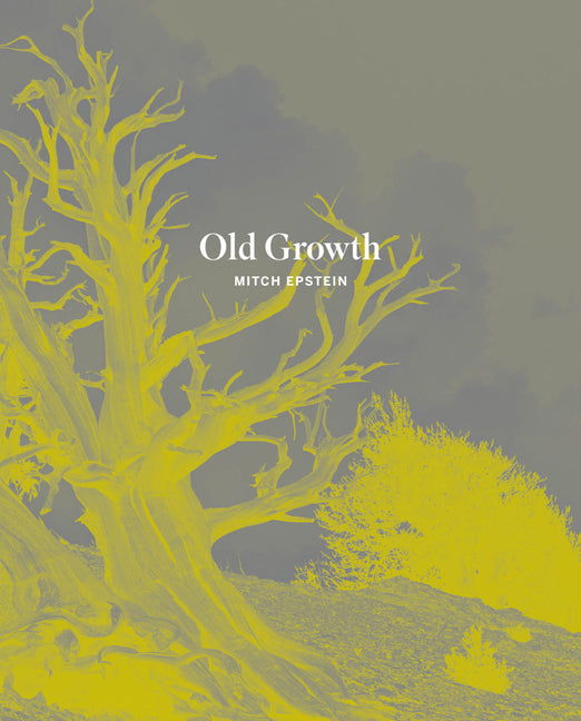Book cover for Mitch Epstein: Old Growth