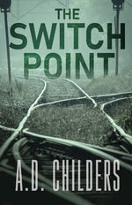 Book cover for Switch Point