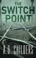 Book cover for Switch Point