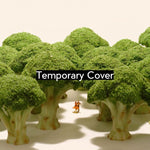 Book cover for Small Wonders - Life Portrait in Miniature