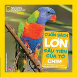 Book cover for National Geographic Little Kids First Big Book of Birds
