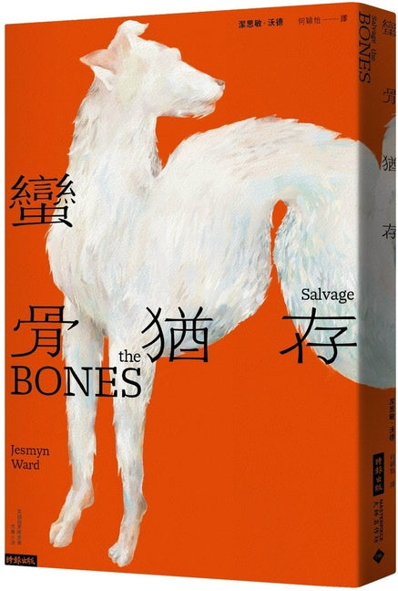 Book cover for Salvage the Bones