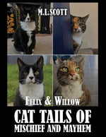 Book cover for Felix & Willow cat tails of mischief and mayhem