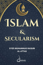 Book cover for Islam and Secularism
