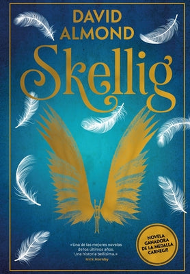Book cover for Skellig