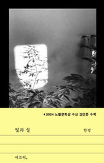 Book cover for Light and Thread