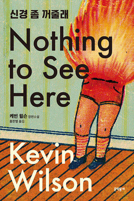 Book cover for Nothing to See Here