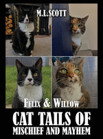 Book cover for Felix & Willow cat tails of mischief and mayhem