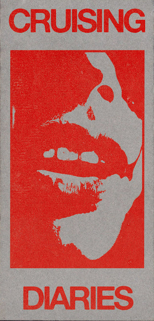 Book cover for Franco Dupuy: Cruising Diaries