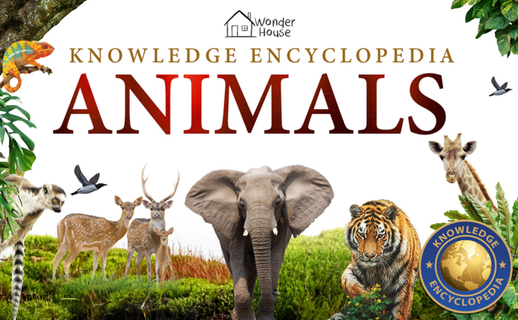 Book cover for Knowledge Encyclopedia: Animals