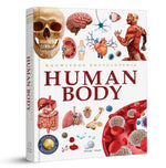 Book cover for Knowledge Encyclopedia: Human Body