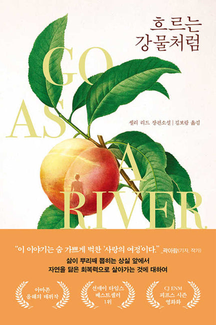 Book cover for Go as a River