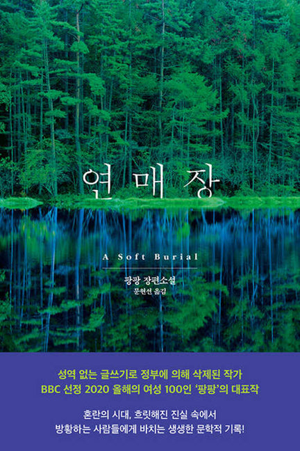 Book cover for Soft Burial