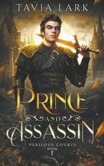 Book cover for Prince and Assassin