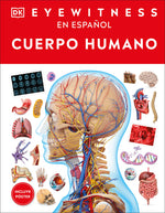 Book cover for Eyewitness: Cuerpo Humano (Human Body)