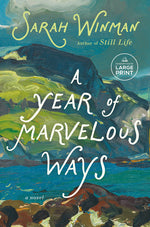Book cover for Year of Marvelous Ways