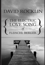 Book cover for Electric Love Song of Fleischl Berger