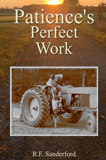 Book cover for Patience's Perfect Work