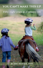 Book cover for You Can't Make This Stuff Up