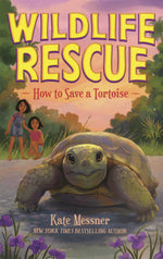 Book cover for How to Save a Tortoise