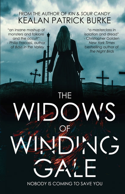 Book cover for Widows of Winding Gale