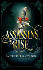 Book cover for Assassins Rise