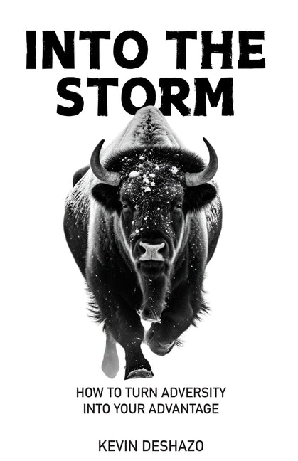 Book cover for Into the Storm: How to Turn Adversity Into Your Advantage