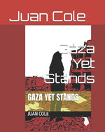 Book cover for Gaza Yet Stands