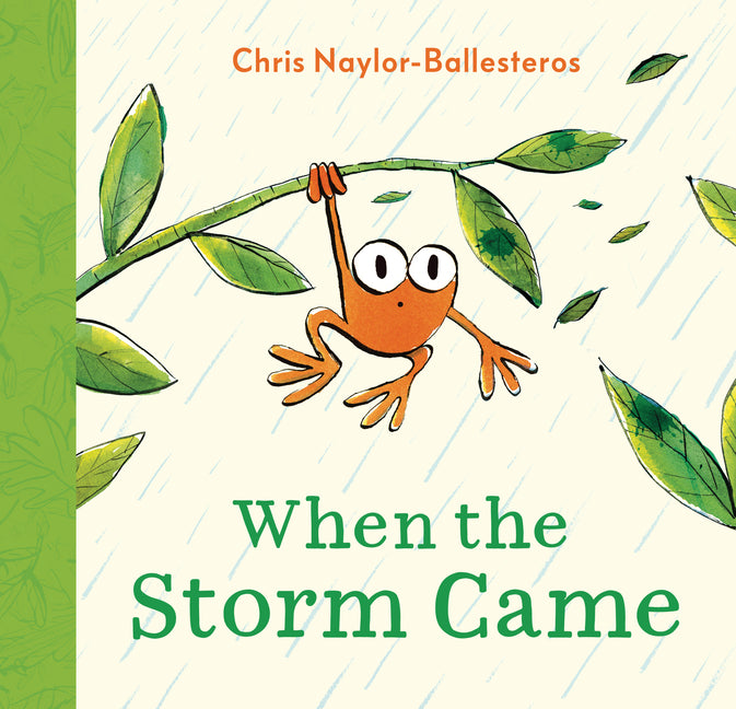 Book cover for When the Storm Came