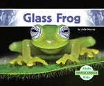 Book cover for Glass Frog