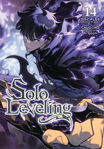 Book cover for Solo Leveling, Vol. 14 (Comic)