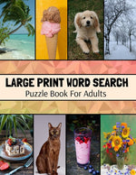 Book cover for Large Print Word Search Puzzle Book For Adults: Wide Variety Of Topics, Large Print Activity Book, Word Find Puzzle Books For Adults