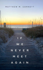 Book cover for If We Never Meet Again