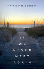 Book cover for If We Never Meet Again