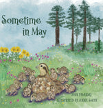 Book cover for Sometime in May