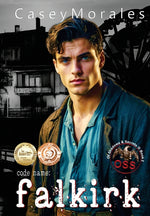 Book cover for Falkirk: A toe-curling mm romance wrapped in a spy thriller