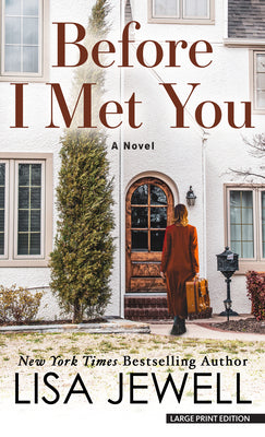 Book cover for Before I Met You