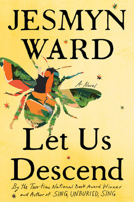 Book cover for Let Us Descend