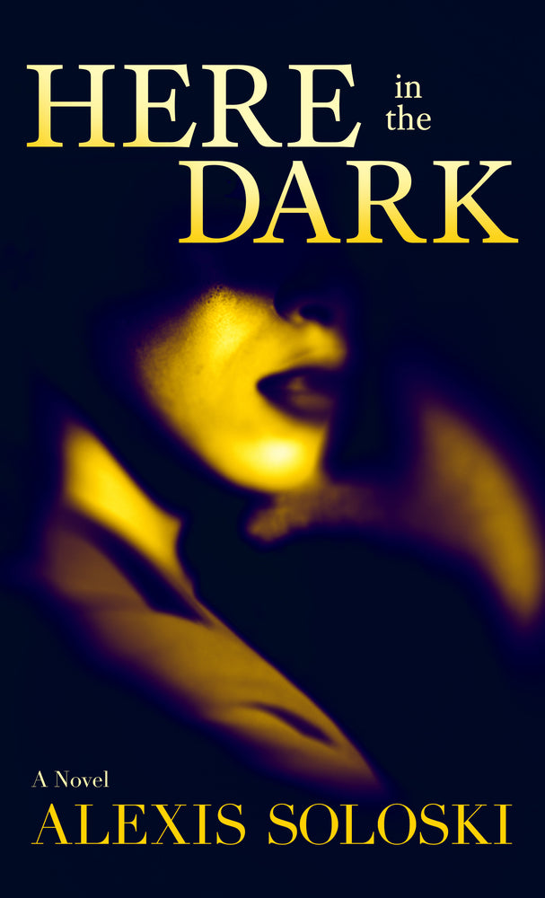 Book cover for Here in the Dark
