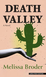 Book cover for Death Valley