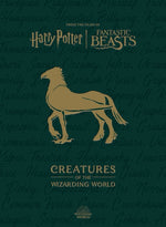 Book cover for Harry Potter: Creatures of the Wizarding World