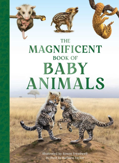 Book cover for Magnificent Book of Baby Animals