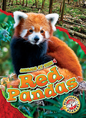 Book cover for Red Pandas