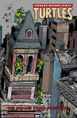 Book cover for Teenage Mutant Ninja Turtles: The Mirage Years (1993-1995)