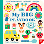 Book cover for My Big Playbook